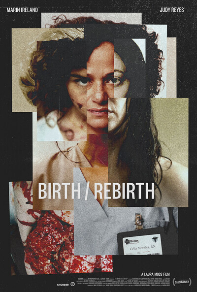 birth/rebirth movie poster